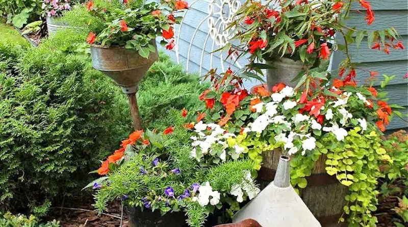 Barrel Planter: A Unique and Versatile Way to Showcase Your Garden