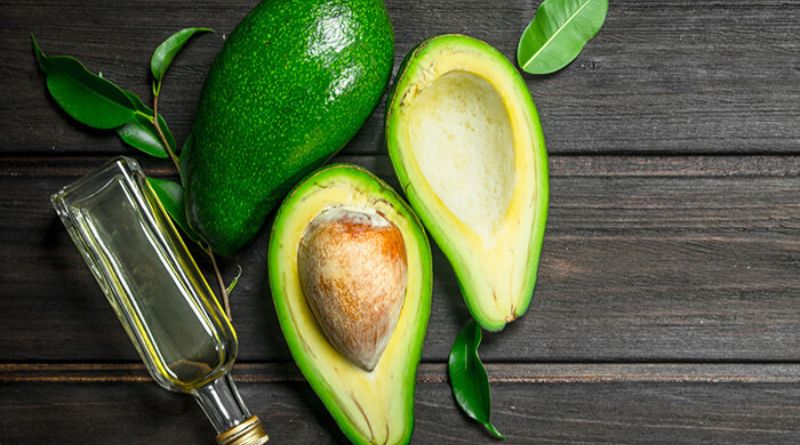 Can Dogs Have Avocado Oil? An In-Depth Guide