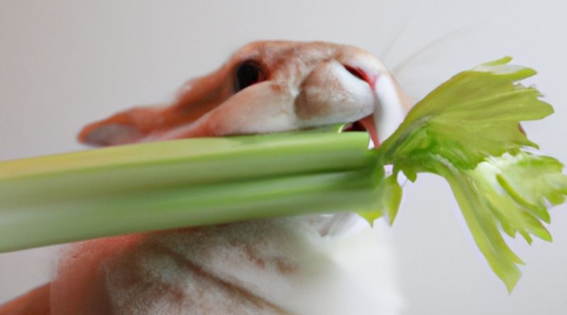 Can a Bunny Eat Celery?